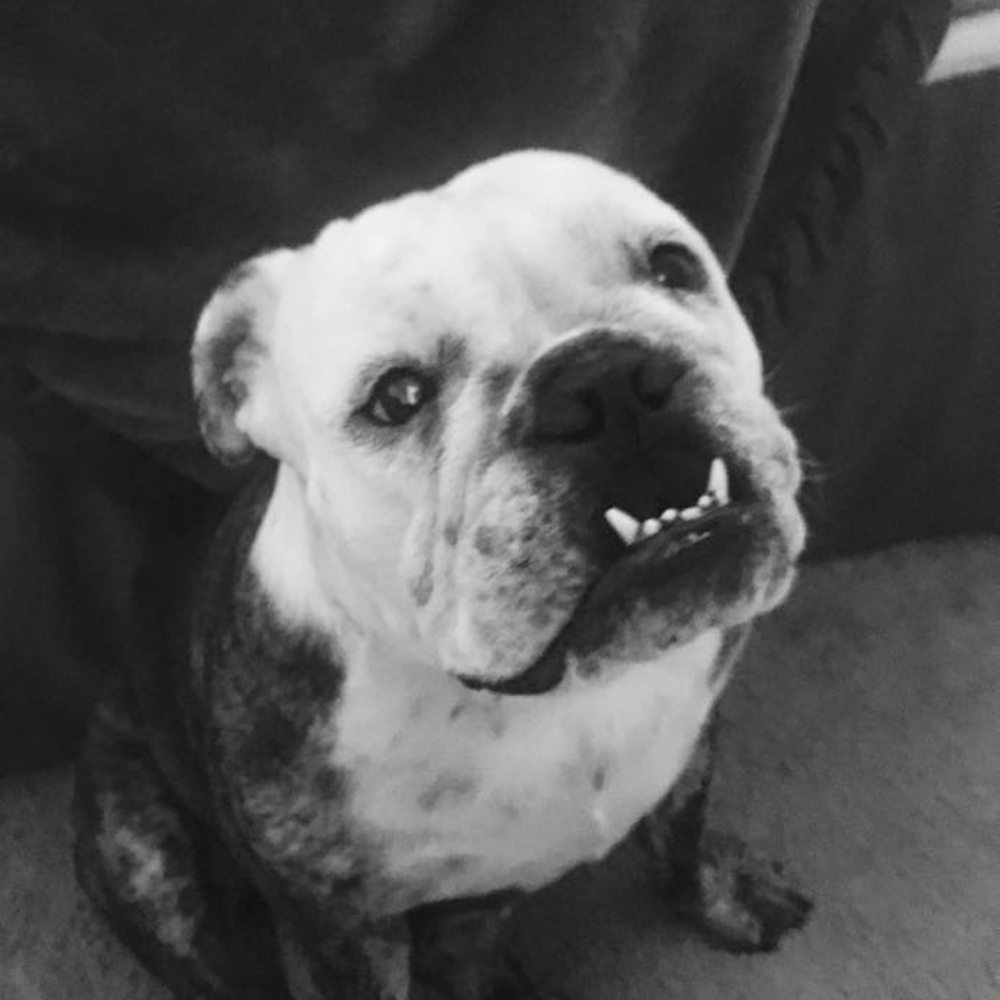 Meet your Posher, Karla